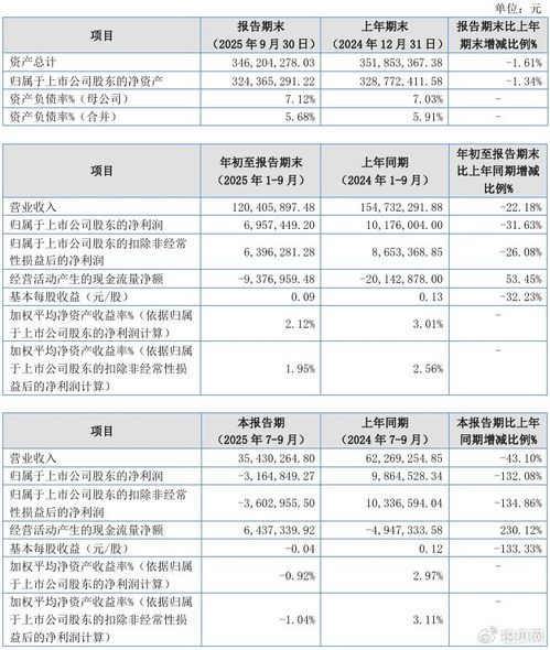 聯(lián)迪信息2025年第三季度凈虧損316.48萬元，內(nèi)銷收入下滑拖累業(yè)績